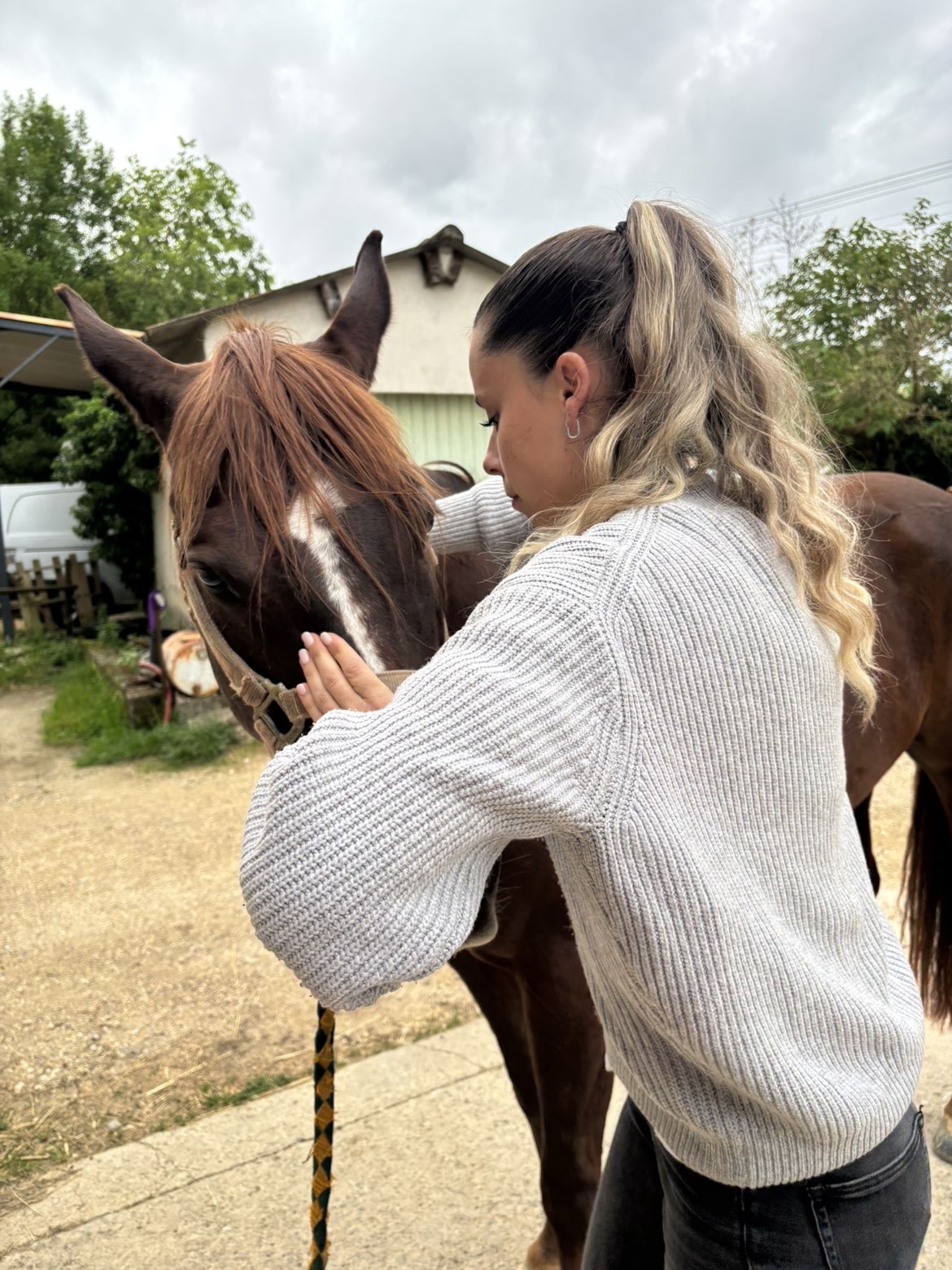 Alice posant les mains sur un cheval avant la séance