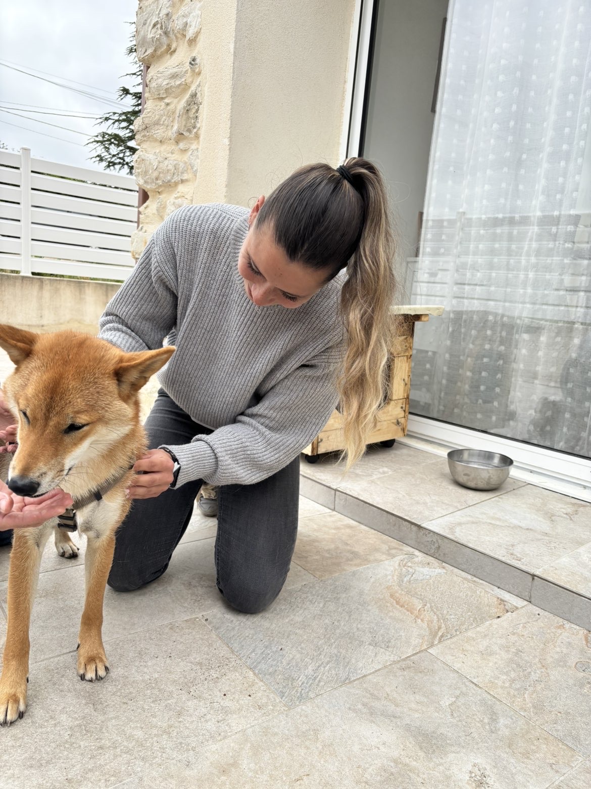 Alice en séance avec un Shiba Inu